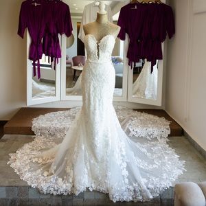 Wedding gown and veil